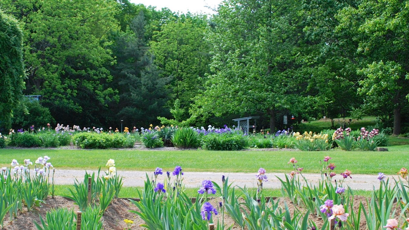 CONJURATION - 1 989 - TB