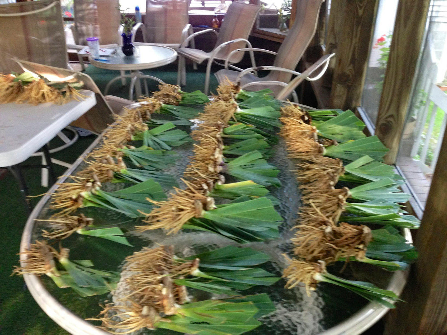 CONJURATION - 1 989 - TB