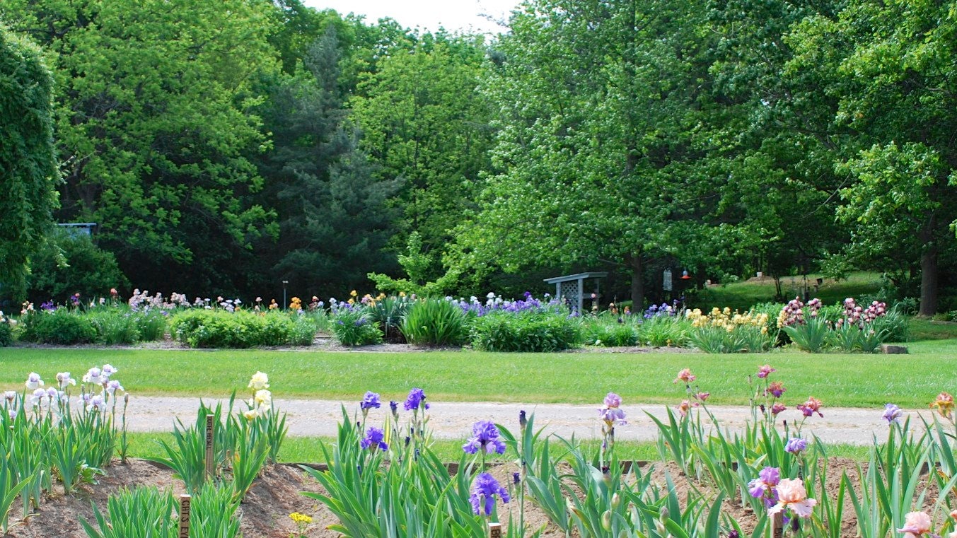 HAWAIIAN HALO- 1990-TB-Fragrant