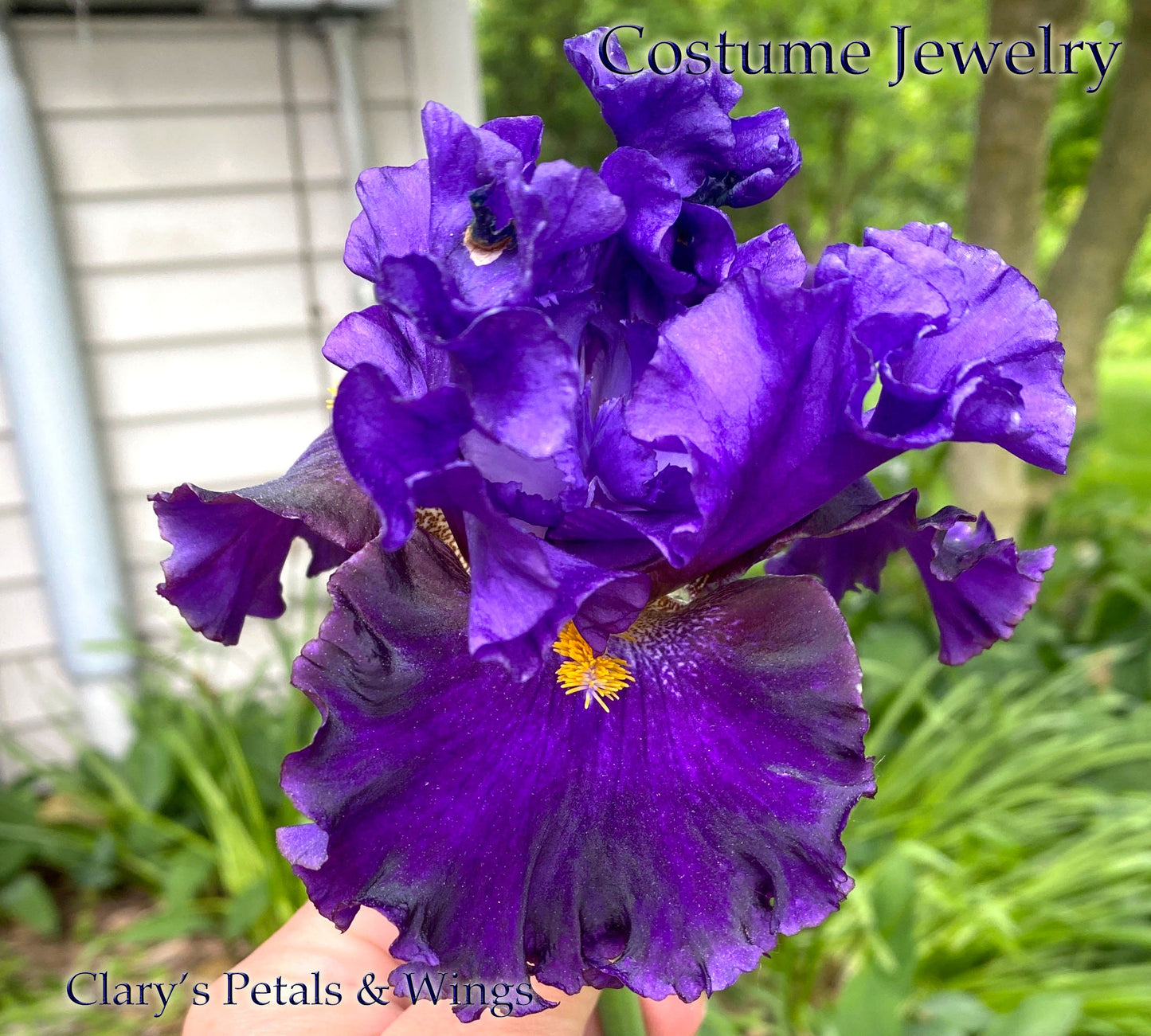 COSTUME JEWELRY - 2018 - BB