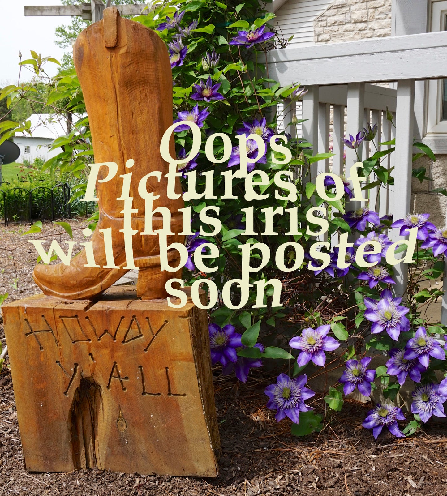 HAPPILY EVER AFTER - 2025 - TB - Fragrant