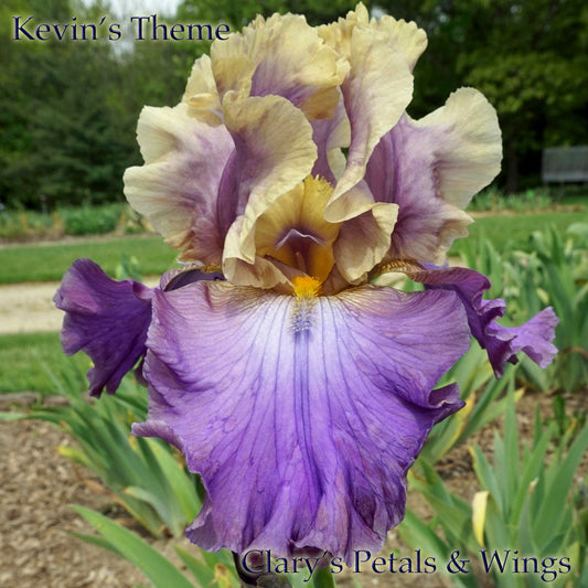 KEVIN'S THEME -1993 TB